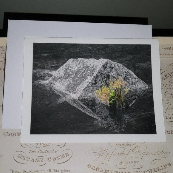 Packet of 8 Notecards - Adirondack Light 1 - Picture 2 of 14